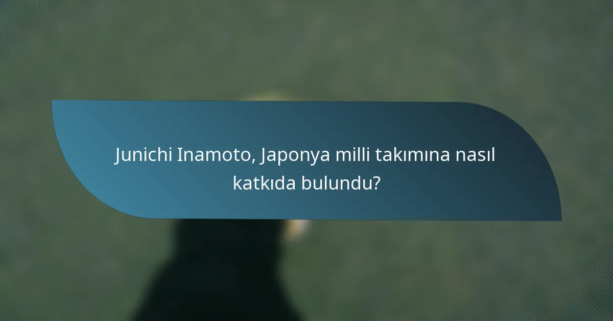 Junichi Inamoto, Japonya milli takımına nasıl katkıda bulundu?