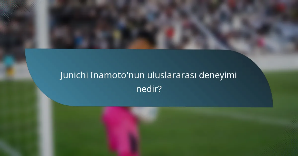 Junichi Inamoto'nun uluslararası deneyimi nedir?